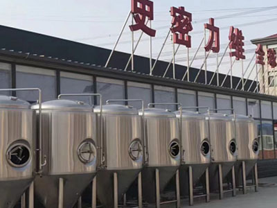 清苑精酿啤酒设备厂—如何判断精酿啤酒设备的密封件需要更换？